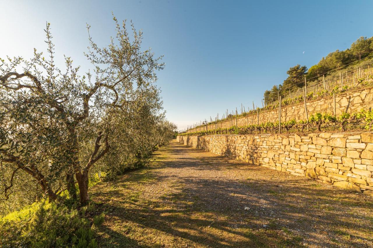 Casetta Mari Immersa In Un Vigneto Dolceacqua Buitenkant foto